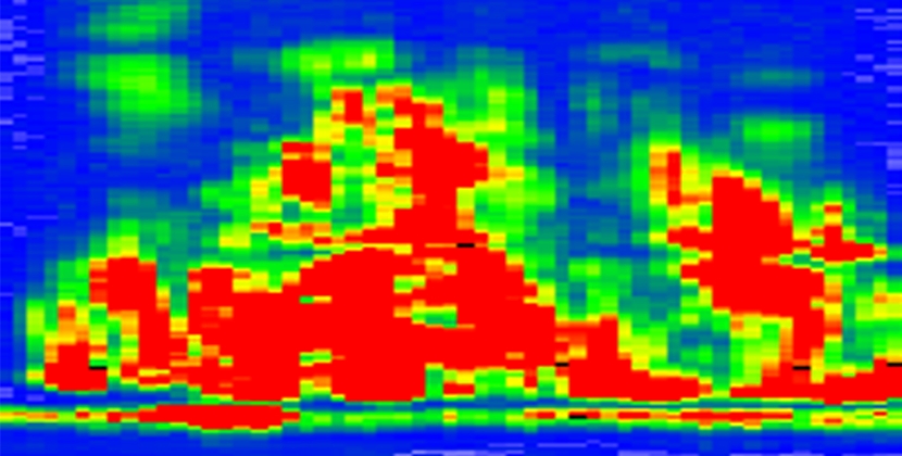 Phased array C-Scan
